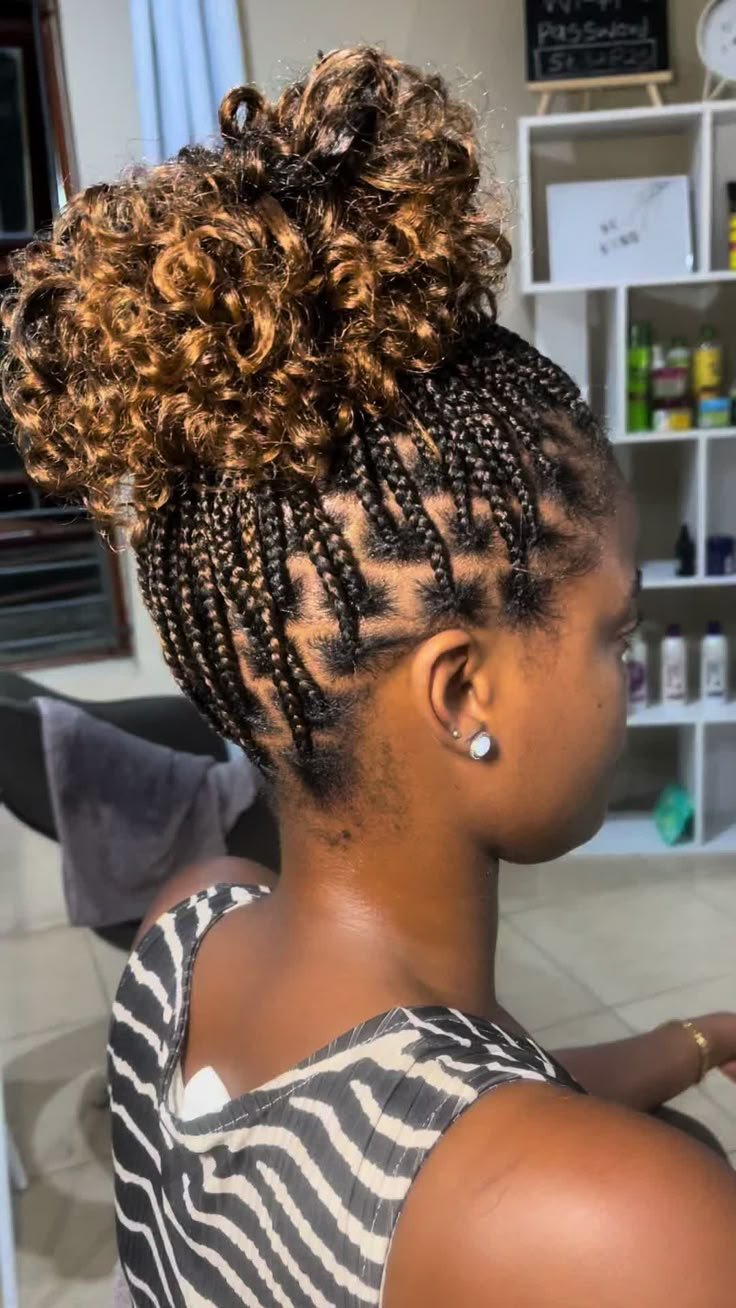 Ponytail  Bob Braids